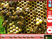 Игра Соты - скрытые пчёлы