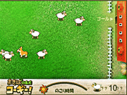 Пастырь овец